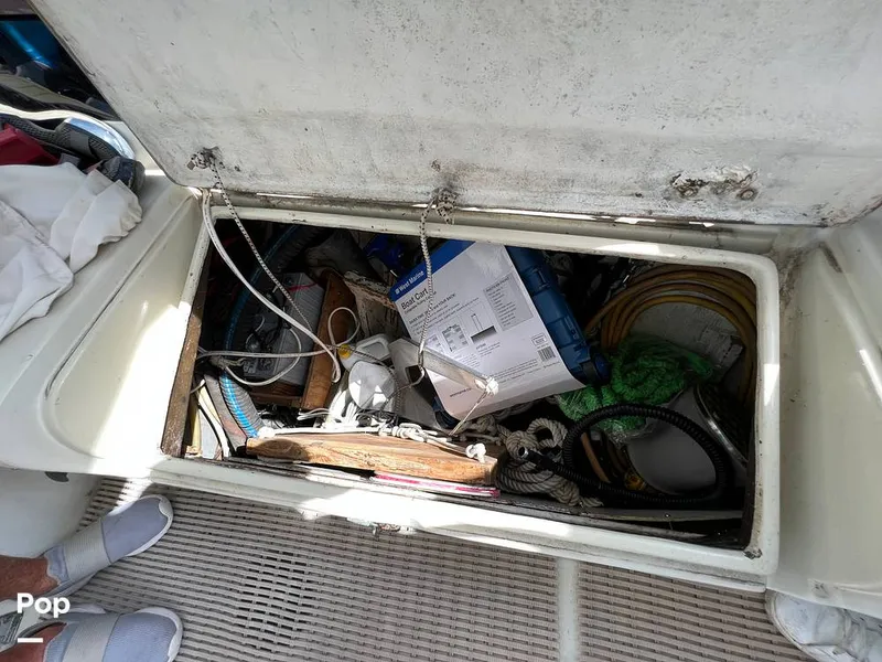 Slide: The Image of Pearson 40 1979 - 11557686