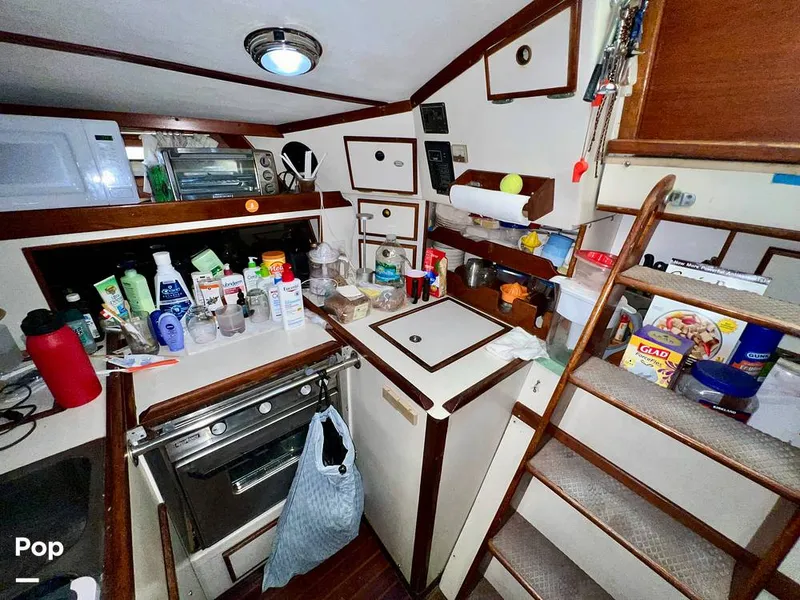 Slide: The Image of Pearson 40 1979 - 11557706