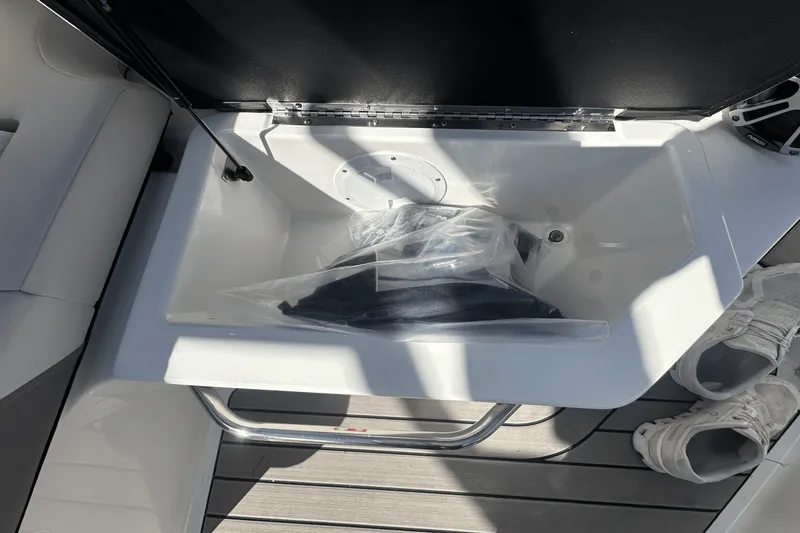 Slide: The Image of Sea Ray SDX 250 Surf 2025 - 19