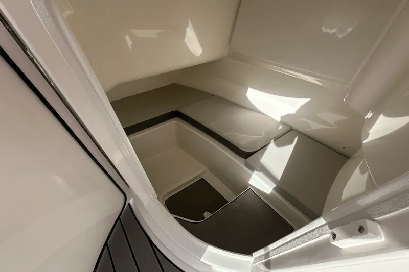 Slide: The Image of Sea Ray 250 SDX 2025 - 19