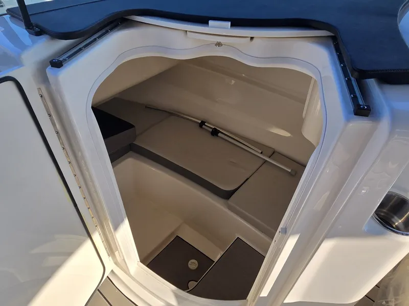Slide: The Image of Sea Ray 250 SDX 2025 - 28