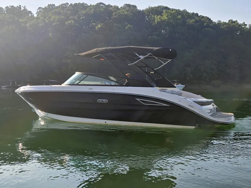 Slide: The Image of Sea Ray 250 SDX 2025 - 42