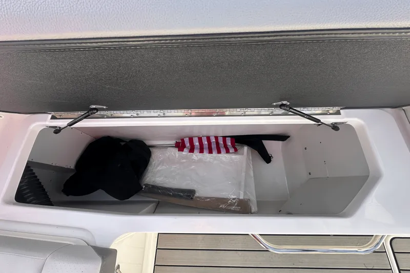 Slide: The Image of Sea Ray 250 SDX 2025 - 6