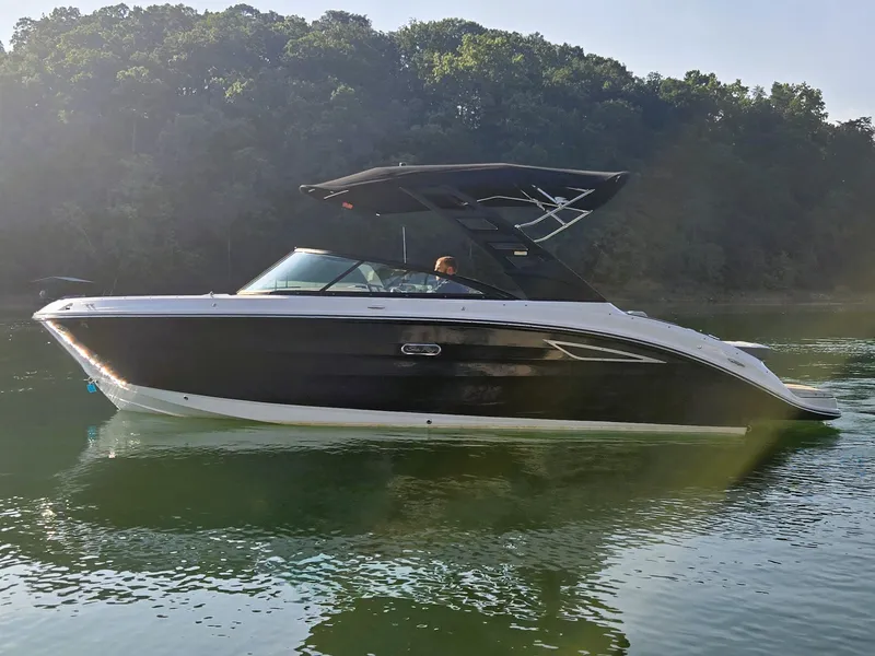 Slide: The Image of Sea Ray 250 SDX 2025 - 38