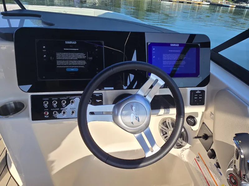 Slide: The Image of Sea Ray 250 SDX 2025 - 23
