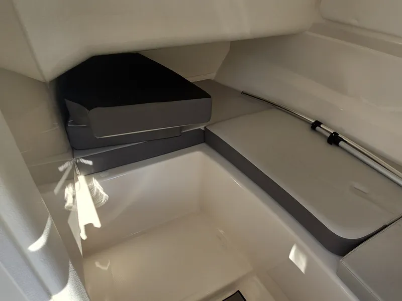 Slide: The Image of Sea Ray 250 SDX 2025 - 30