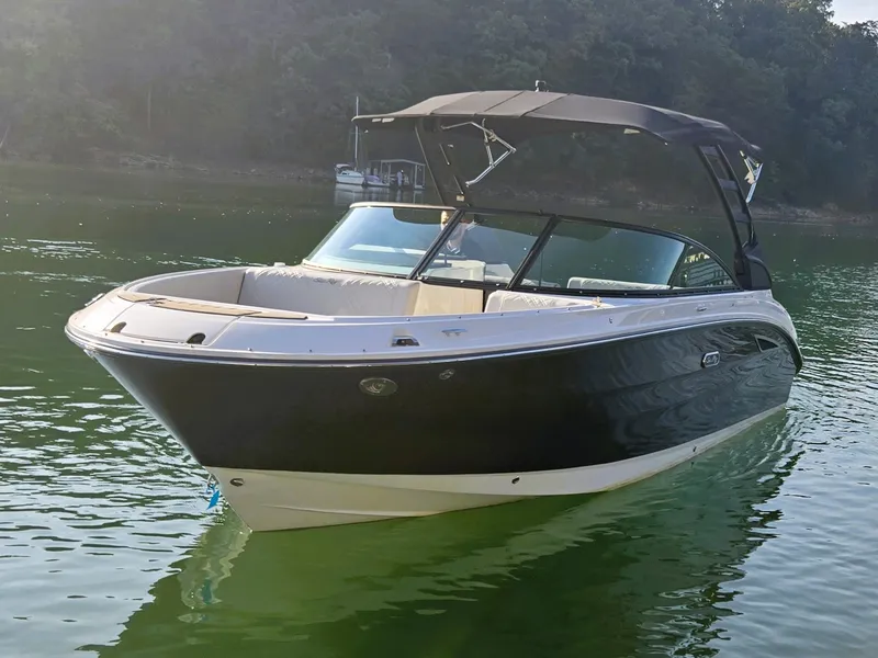 Slide: The Image of Sea Ray 250 SDX 2025 - 41