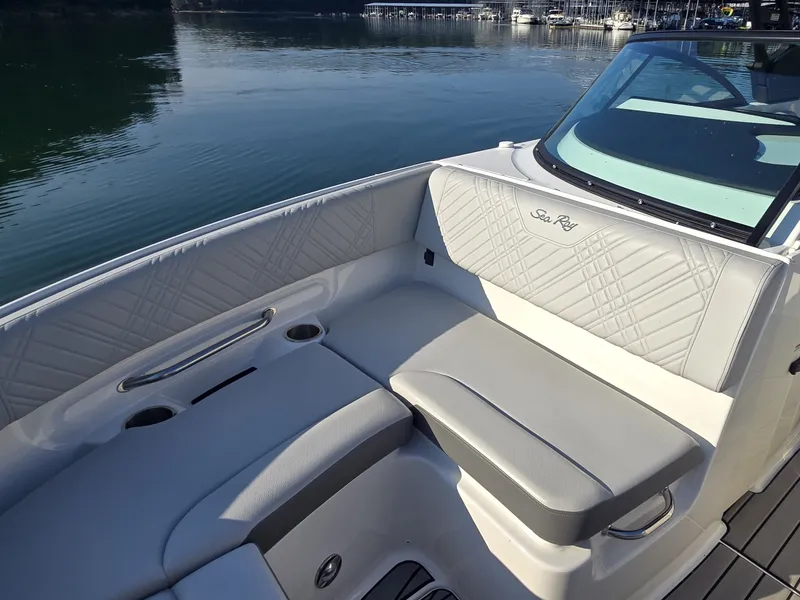 Slide: The Image of Sea Ray 250 SDX 2025 - 35