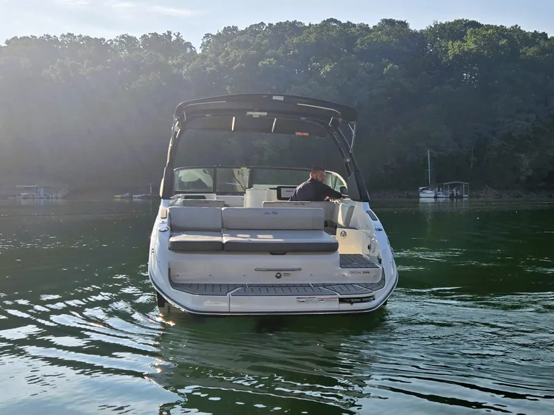 Slide: The Image of Sea Ray 250 SDX 2025 - 44