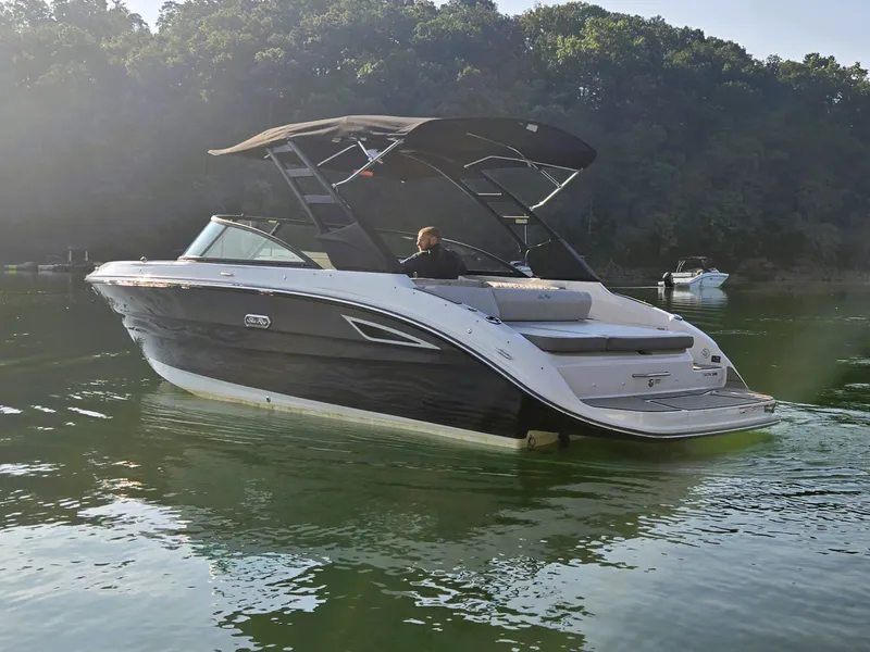 Slide: The Image of Sea Ray 250 SDX 2025 - 39