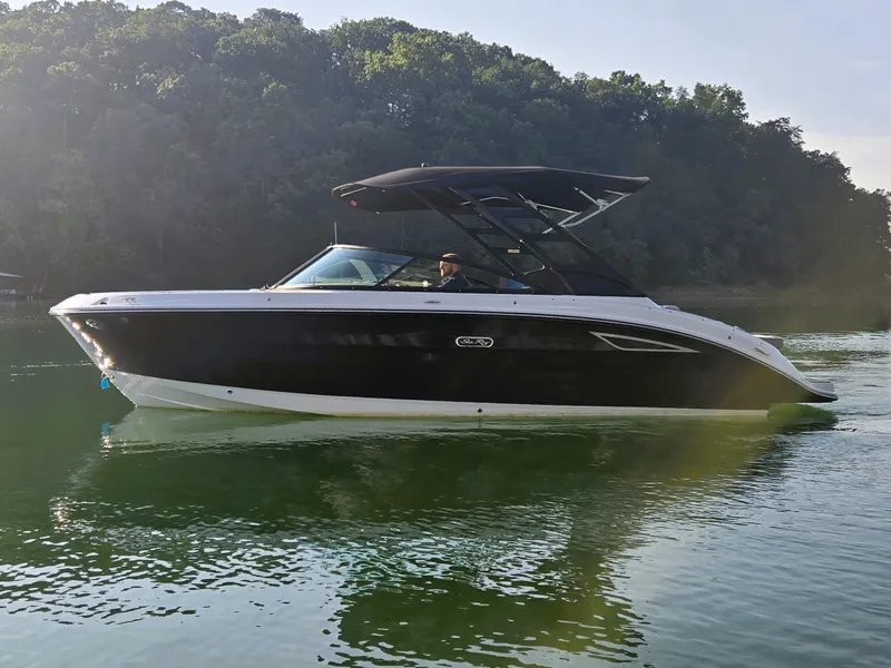 The Image of Sea Ray 250 SDX 2025 - 0