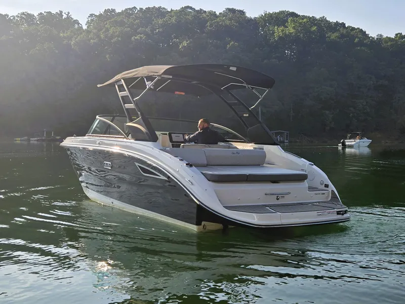Slide: The Image of Sea Ray 250 SDX 2025 - 43