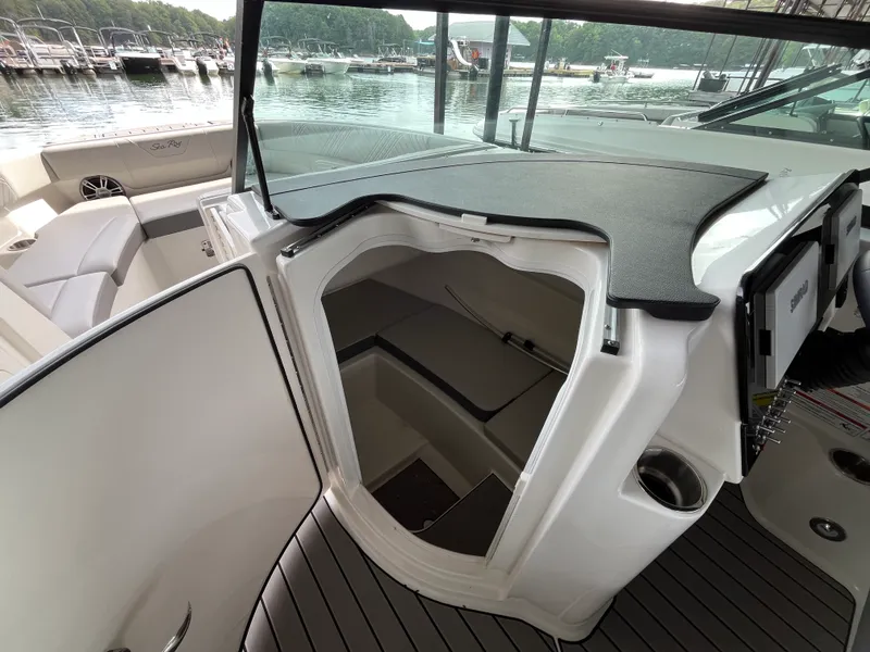 Slide: The Image of Sea Ray 250 SDX 2025 - 14