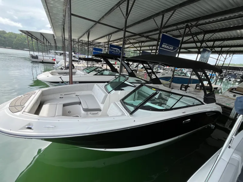 Slide: The Image of Sea Ray 250 SDX 2025 - 2