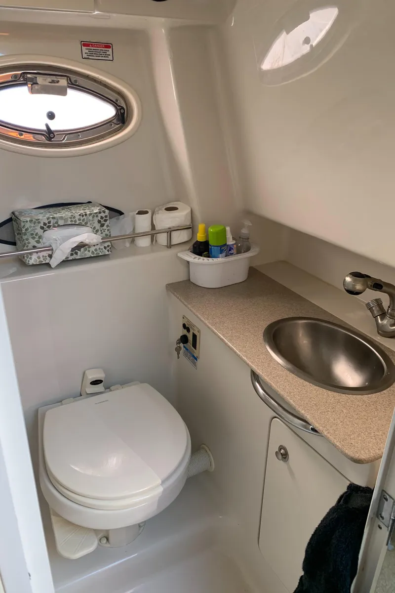 Slide: The Image of Sea Ray 290 Sundancer 2007 - 16