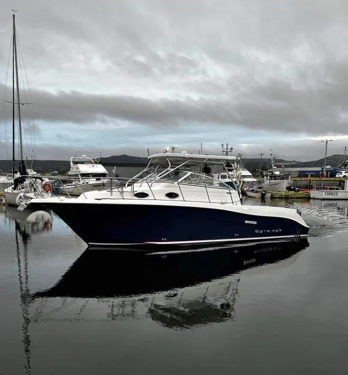 The Image of Seaswirl 2901 Walkaround O/B 2007 - 0