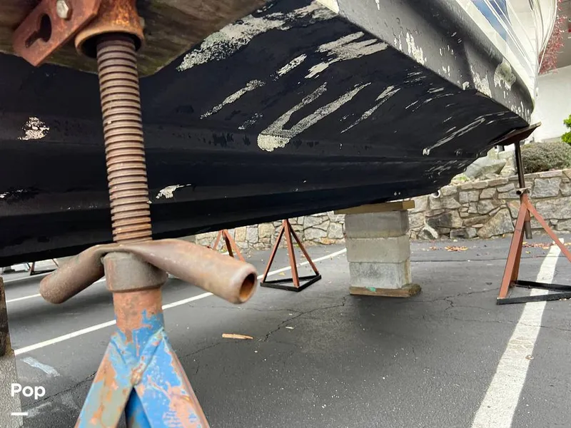 Slide: The Image of Starboard Bottom - 11472273