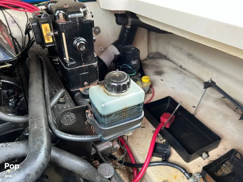 Slide: The Image of Sea Ray 245 Weekender 2001 - 11472326