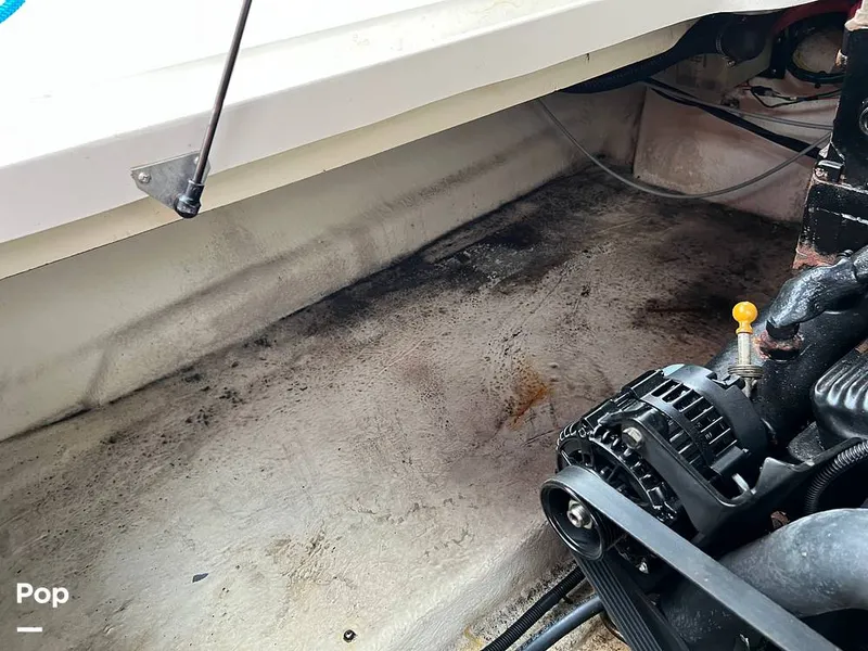 Slide: The Image of Sea Ray 245 Weekender 2001 - 11472328