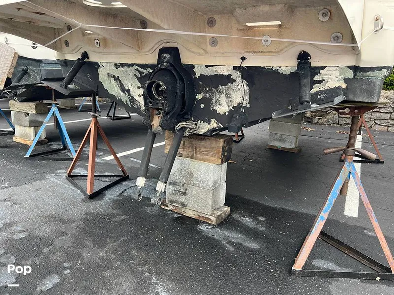 Slide: The Image of Bottom - 11472269