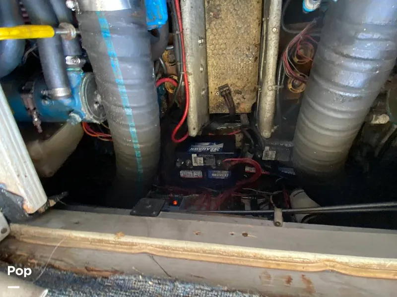 Slide: The Image of Silverton 312 Convertible 1993 - 11393216