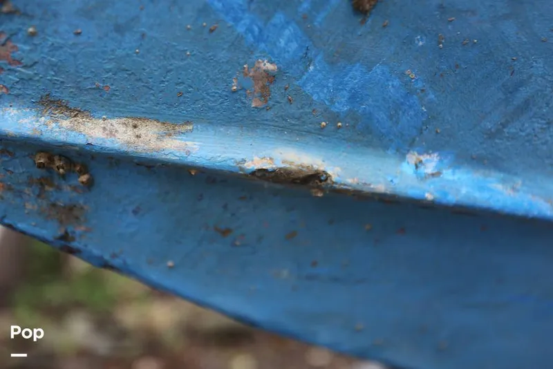 Slide: The Image of Regal 2565 Window Express 2008 - 11374942