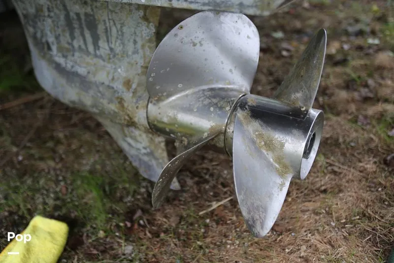 Slide: The Image of Regal 2565 Window Express 2008 - 11374810