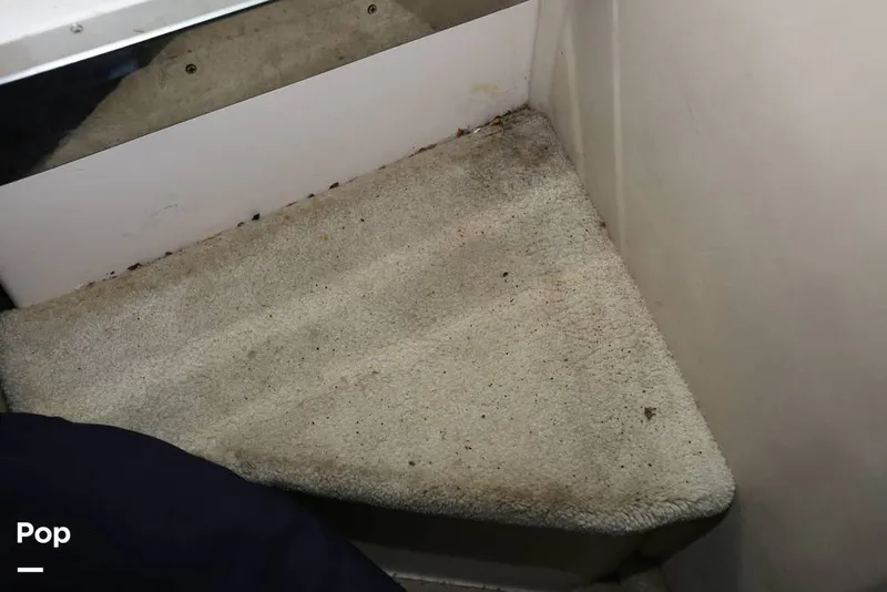 Slide: The Image of Regal 2565 Window Express 2008 - 11374894