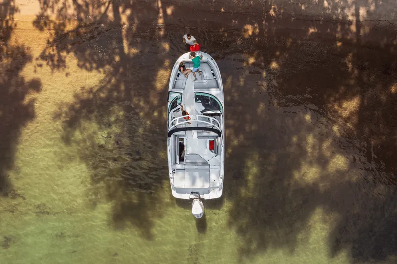 Slide: The Image of Sea Ray SDX 250 Outboard 2025 - 52