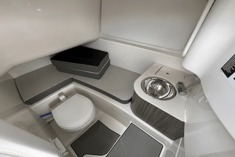 Slide: The Image of Sea Ray SDX 270 Outboard 2025 - 37