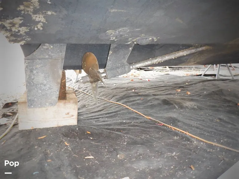 Slide: The Image of Sea Ray 310 Sundancer 1999 - 11479154