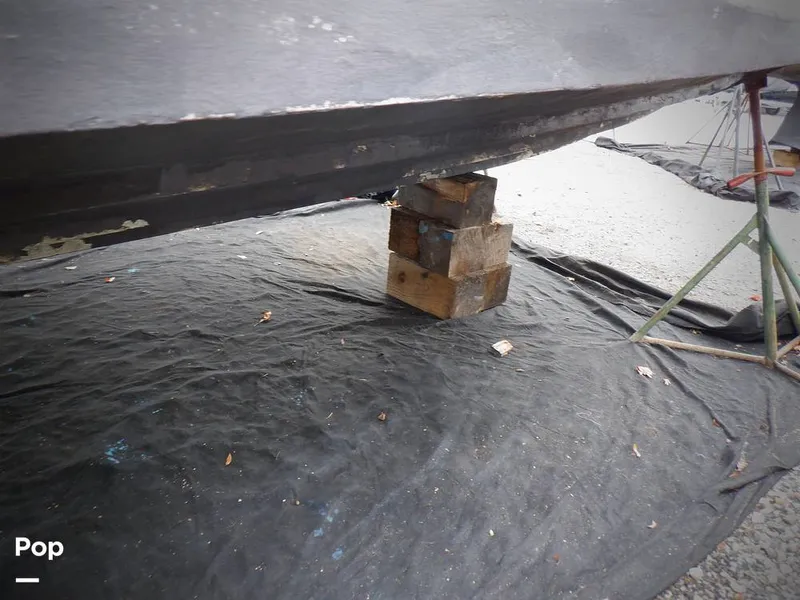 Slide: The Image of Sea Ray 310 Sundancer 1999 - 11479169