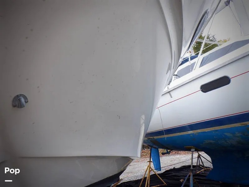 Slide: The Image of Sea Ray 310 Sundancer 1999 - 11479179