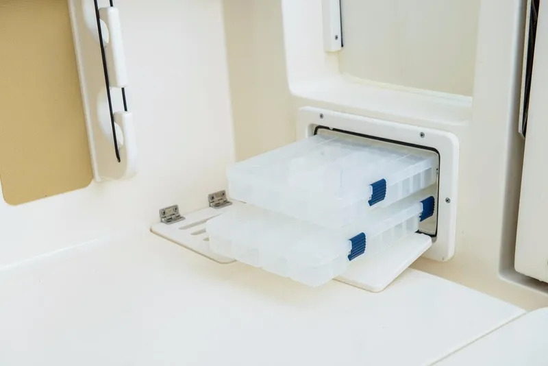 Slide: The Image of Scout 255 Dorado 2025 - 40