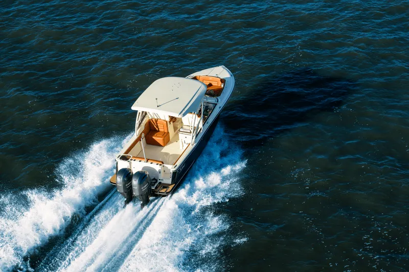 Slide: The Image of Scout 255 Dorado 2025 - 5