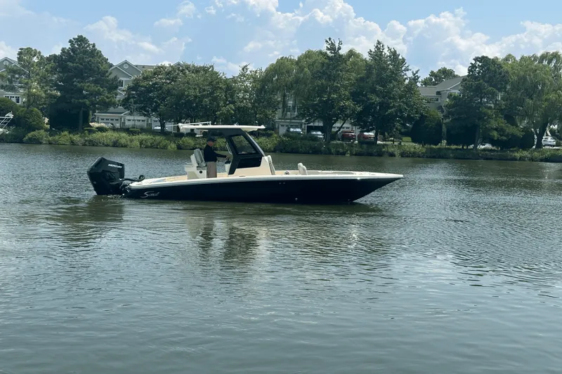 The Image of Scout 261 XSS 2025 - 0