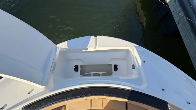 Slide: The Image of Sea Ray SPX 190 Outboard 2025 - 48