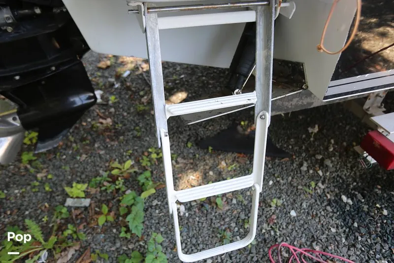 Slide: The Image of Swim Ladder - 11418672