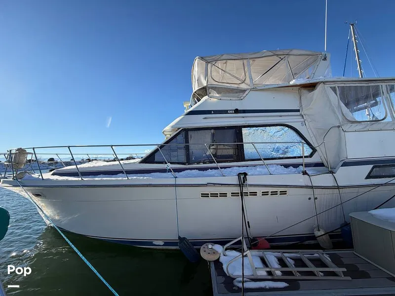 Slide: The Image of Chris-Craft 426 Catalina 1987 - 16101708