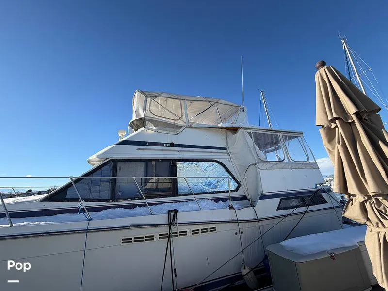 Slide: The Image of Chris-Craft 426 Catalina 1987 - 16101709