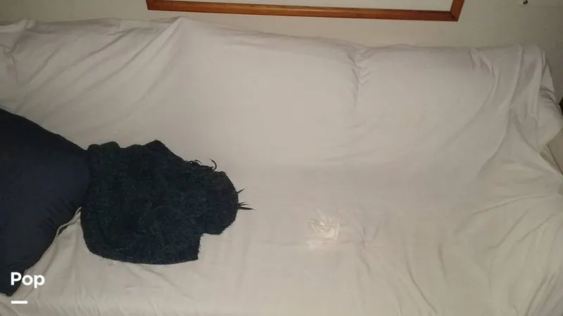 Slide: The Image of Viking 43 Double Cabin Motoryacht 1976 - 11489594