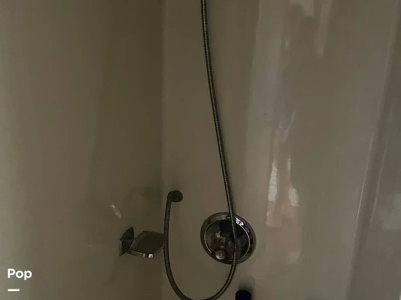 Slide: The Image of Forward Shower - 11438150