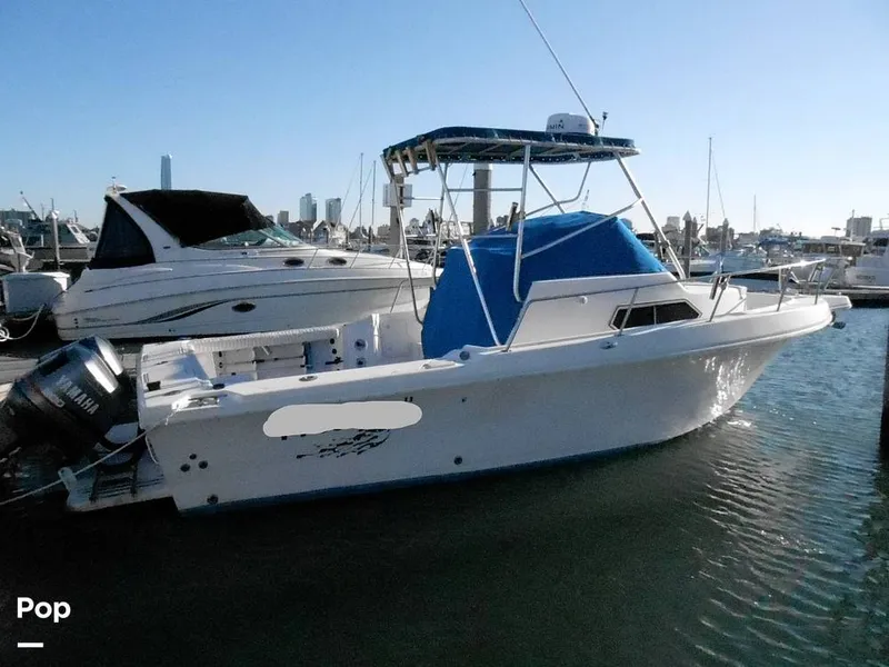 Slide: The Image of Pro-Line 2550 Walkaround Mid-Cabin 1992 - 11458999