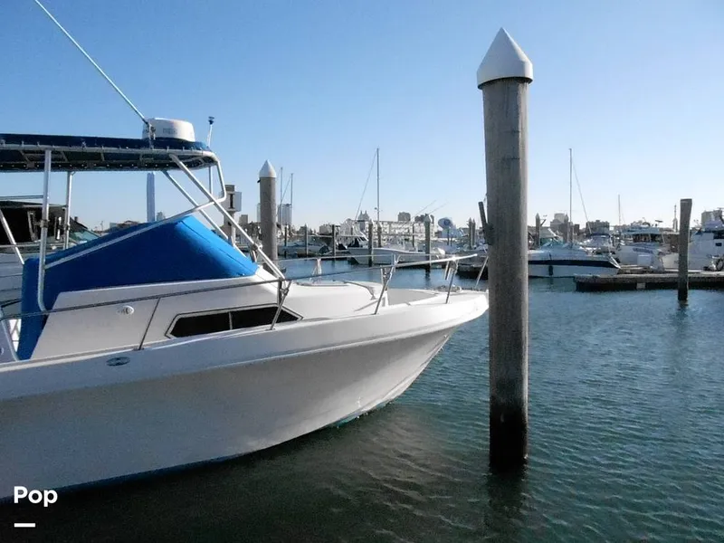 Slide: The Image of Pro-Line 2550 Walkaround Mid-Cabin 1992 - 11459005