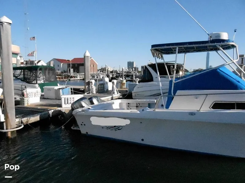 Slide: The Image of Pro-Line 2550 Walkaround Mid-Cabin 1992 - 11459014