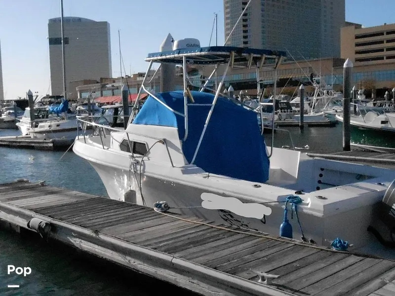 Slide: The Image of Pro-Line 2550 Walkaround Mid-Cabin 1992 - 11459058