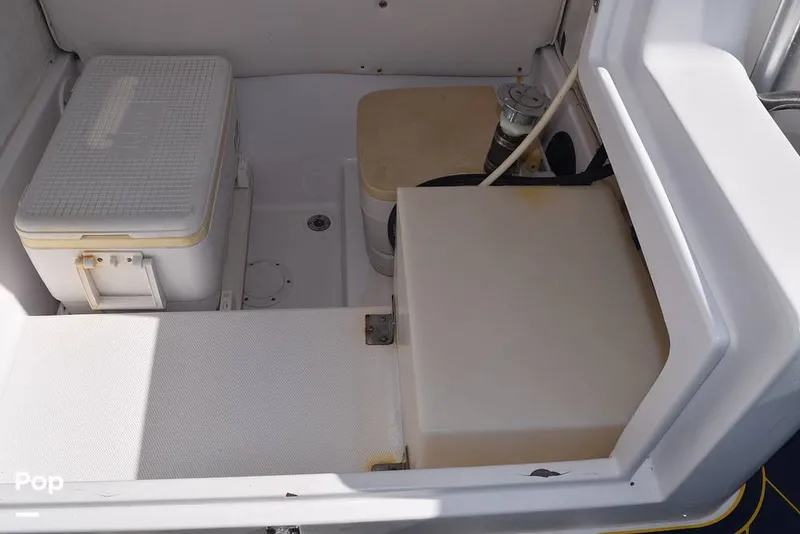 Slide: The Image of Head - 11626335