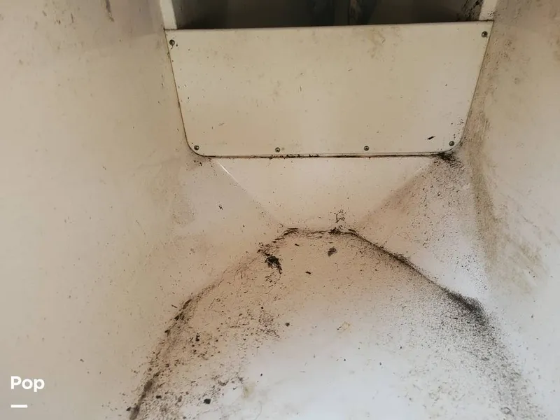 Slide: The Image of Scout 251 XSS CC 2018 - 11606151