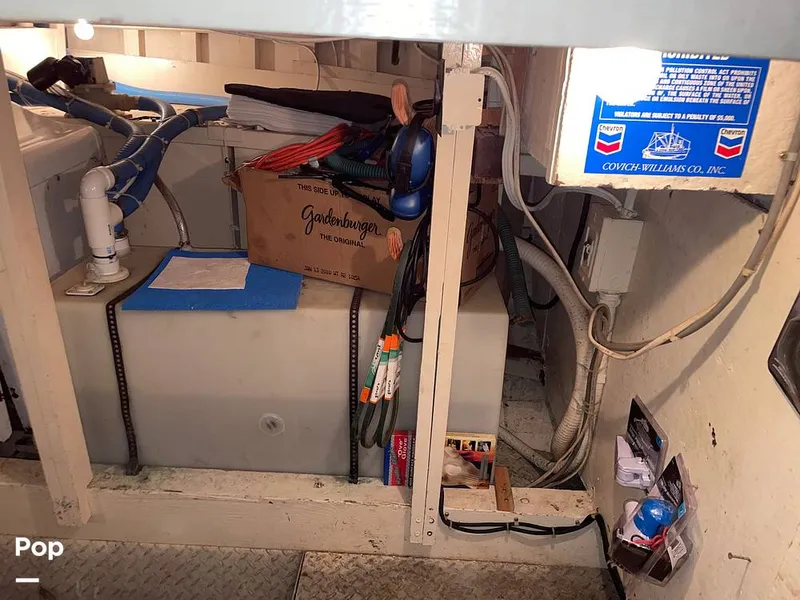 Slide: The Image of Pacemaker 53 Flybridge 1965 - 11772556