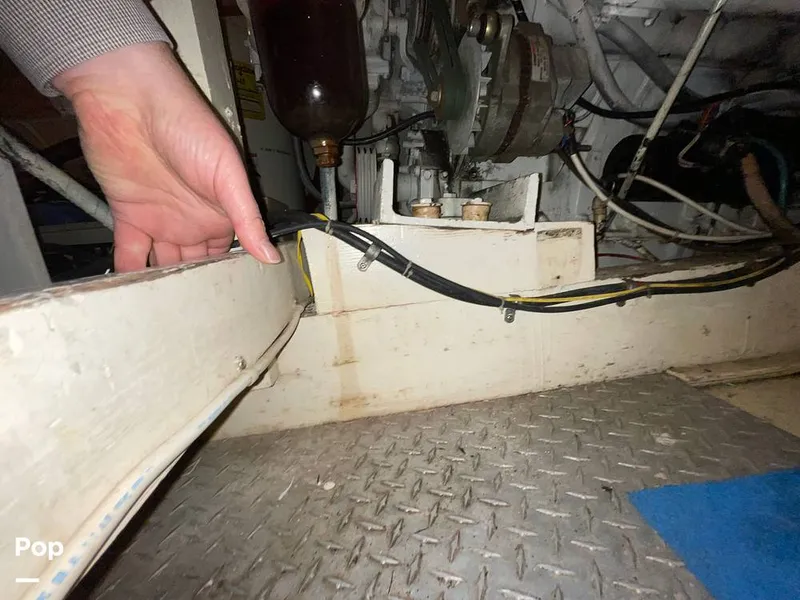 Slide: The Image of Pacemaker 53 Flybridge 1965 - 11772573